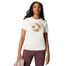 Star Chevron Desert Mountain T-Shirt