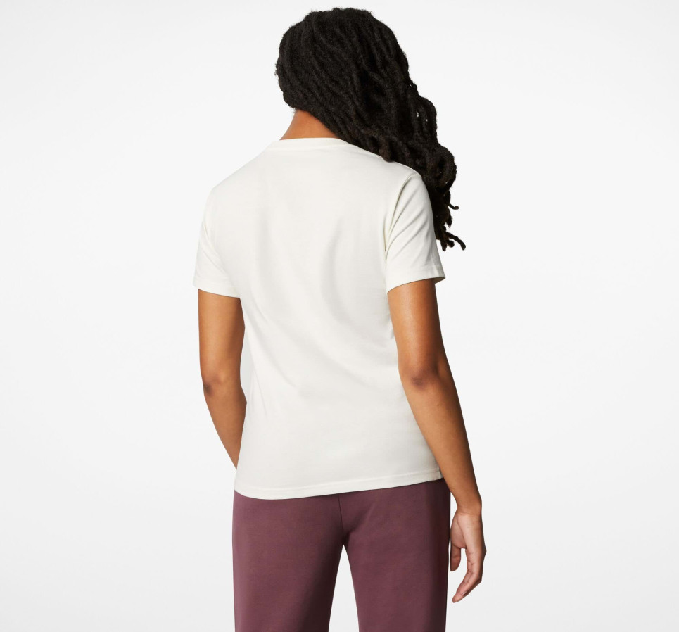 Star Chevron Desert Mountain T-Shirt