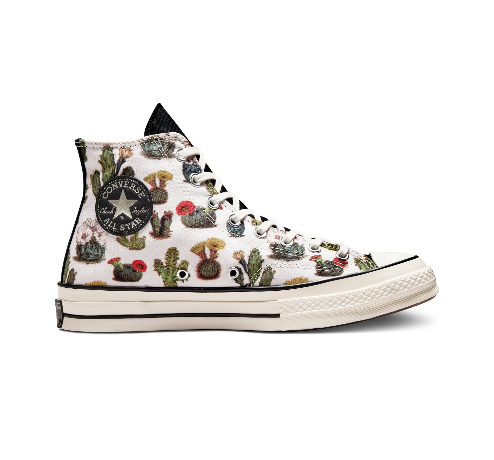 Chuck 70 Succulents