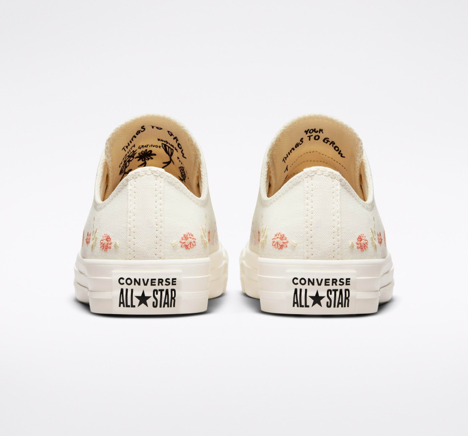 Chuck Taylor All Star-Egret-36