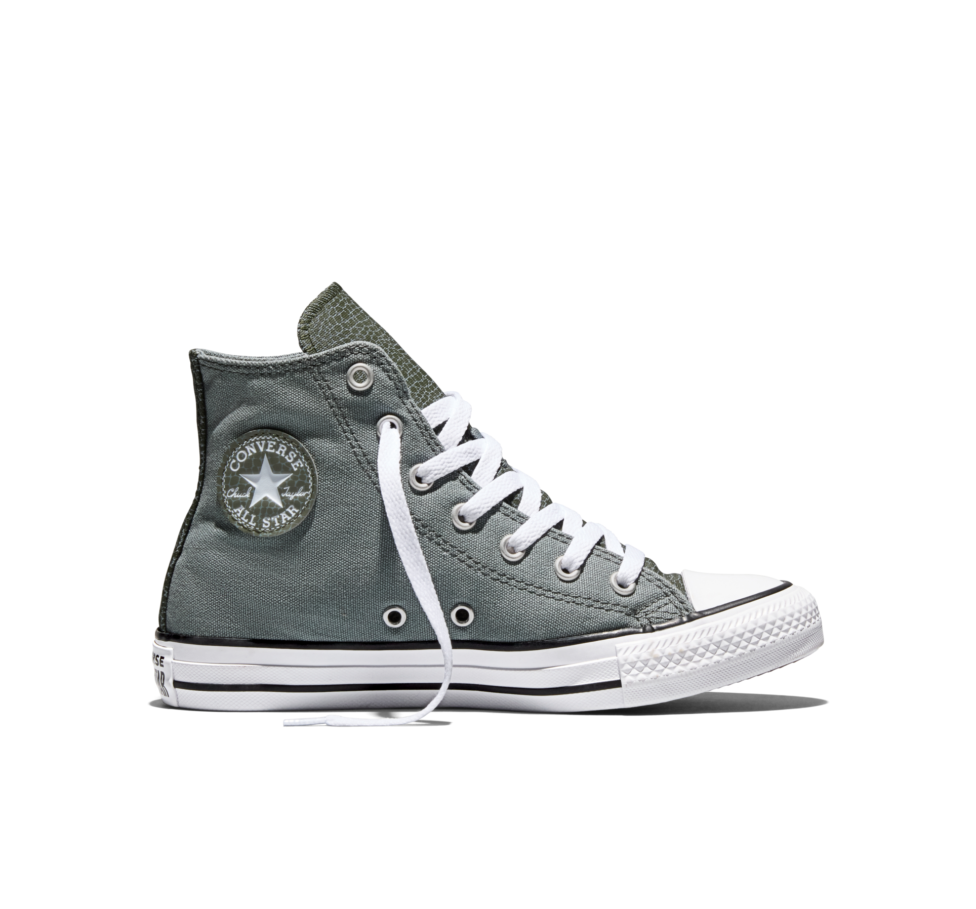 Chuck Taylor All Star Dinos