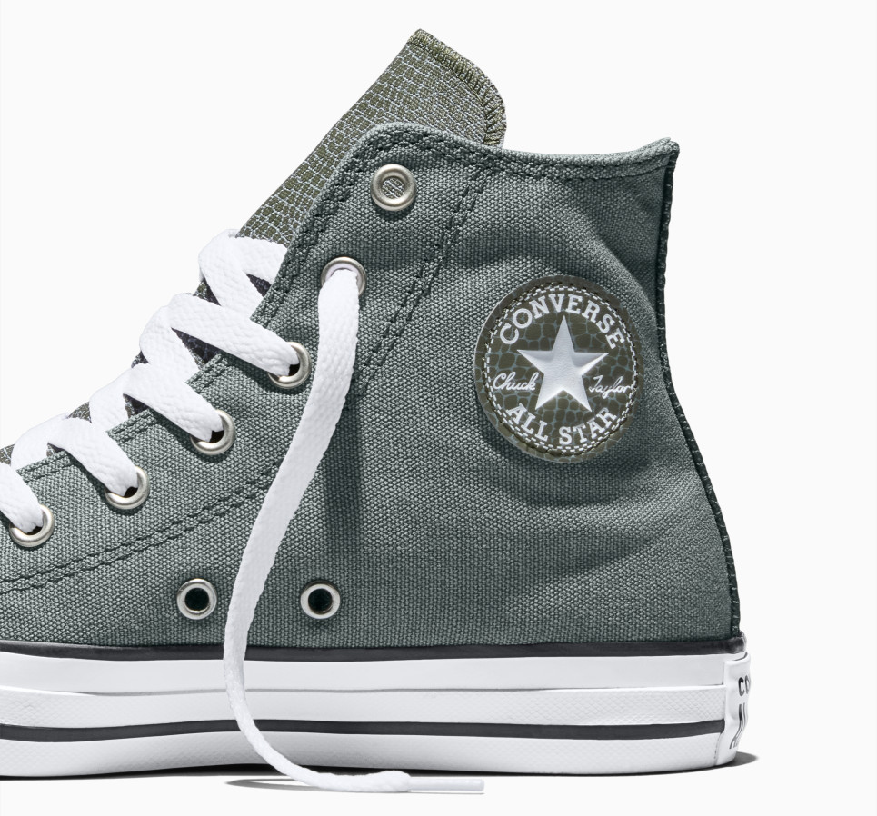 Chuck Taylor All Star Dinos