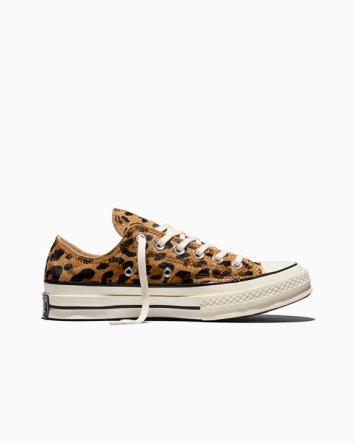 Chuck 70 Leopard-Print Pony Hair